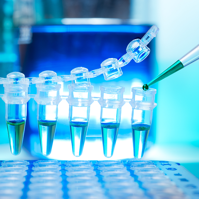 開發(fā)用于高寒地區(qū)施工的耐低溫、抗凍融泡沫填縫劑專用聚醚